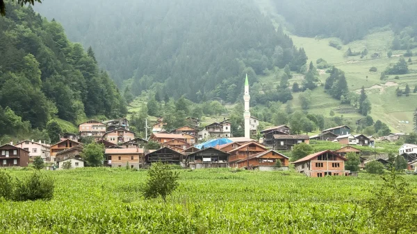 Uzungöl: Nasıl Gidilir, Ziyaret Rehberi ve Pratik Bilgiler